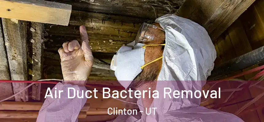  Air Duct Bacteria Removal Clinton - UT