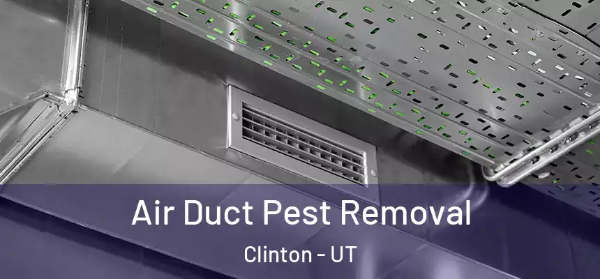  Air Duct Pest Removal Clinton - UT