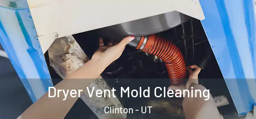 Dryer Vent Mold Cleaning Clinton - UT