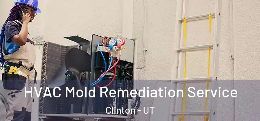  HVAC Mold Remediation Service Clinton - UT