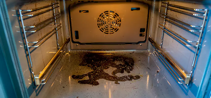 Our Dryer Vent Mold Cleaning Services in Clinton, UT