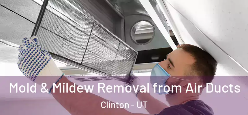  Mold & Mildew Removal from Air Ducts Clinton - UT
