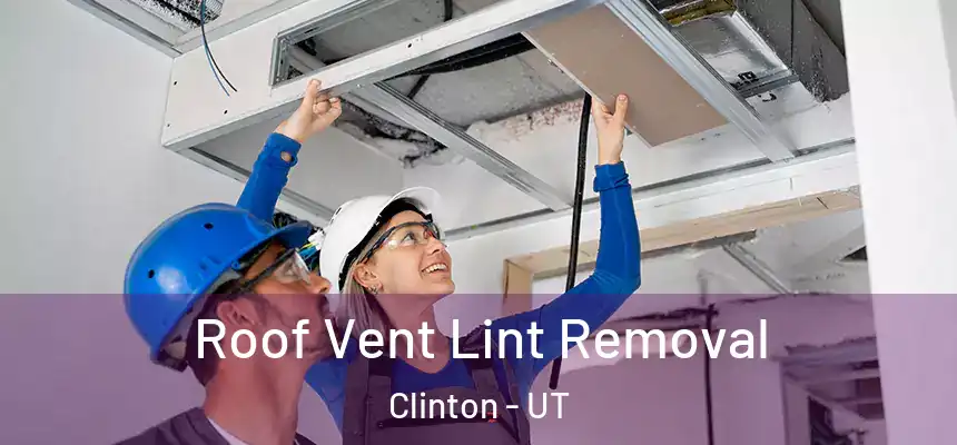 Roof Vent Lint Removal Clinton - UT